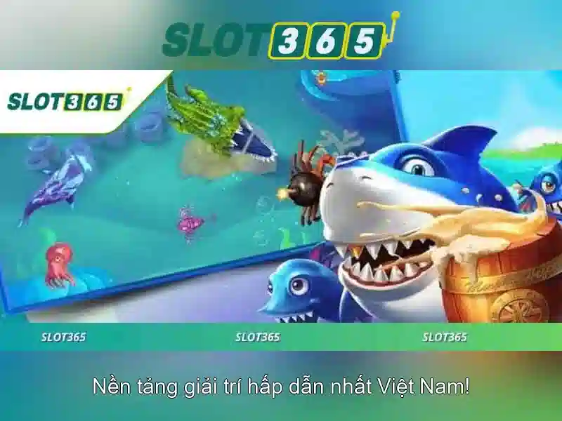 Trải nghiệm người dùng và giao diện