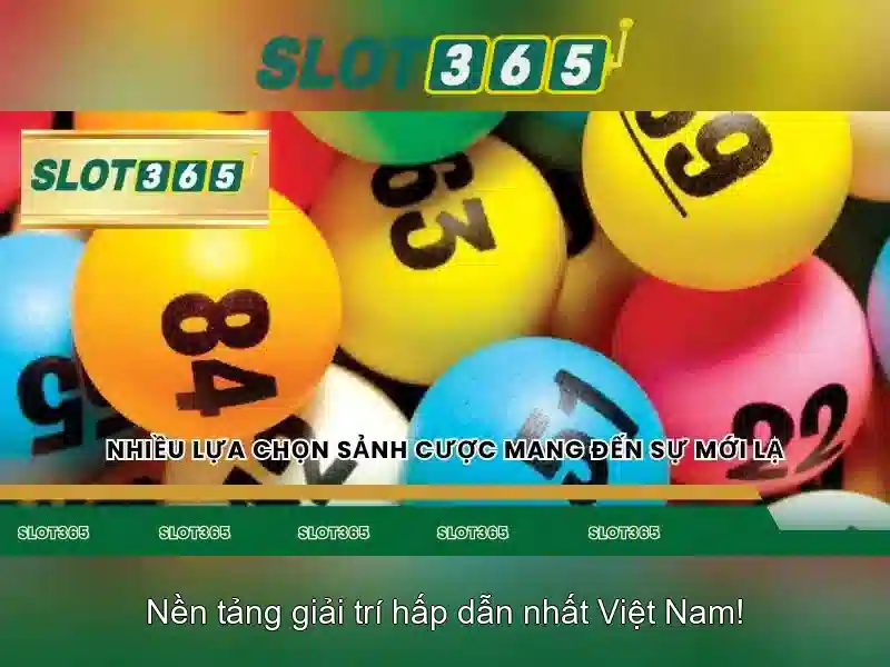 Khuyến mãi và chương trình khách hàng thân thiết