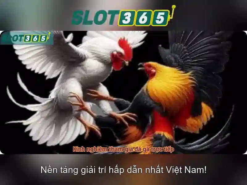 Slot365 - Nền tảng slot trực tuyến phổ biến tại Việt Nam