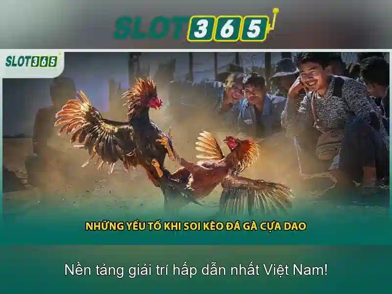 Slot365 là gì? Trải nghiệm và tính năng nổi bật