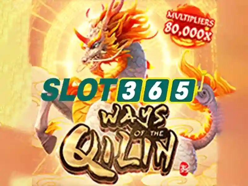 Slot365 – Tổng quan về nền tảng đánh bạc trực tuyến