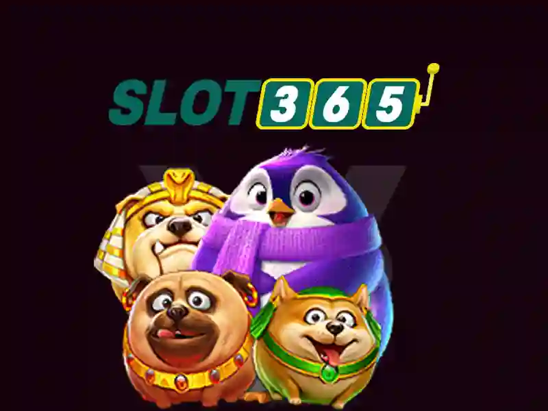 slot365 – Tổng quan nền tảng và giá trị thương hiệu