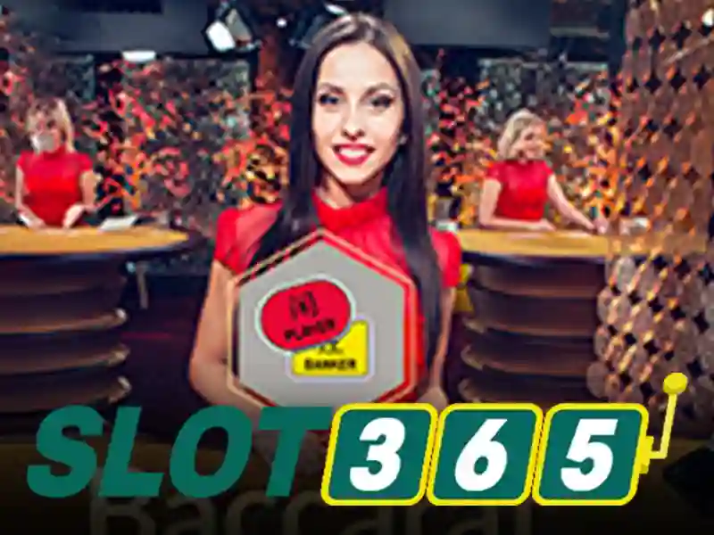 Slot365 và nền tảng chơi slot trực tuyến