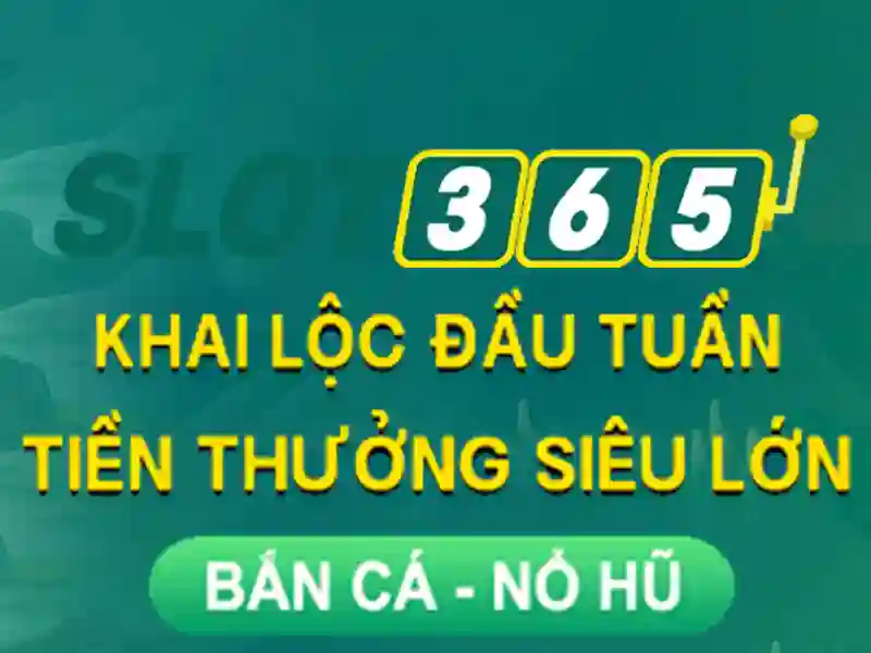 Tại sao chọn Slot365