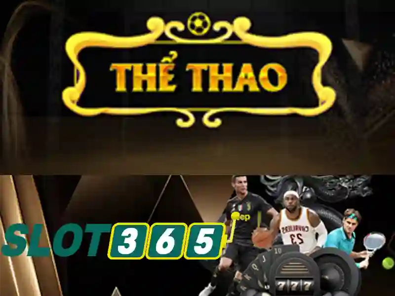 hoki slot365 – Trải nghiệm đỉnh cao Slot365 cho người chơi hiện đại