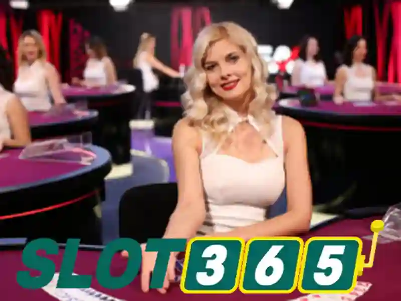 Sản phẩm và dịch vụ chính: xoay quanh slot365 apk