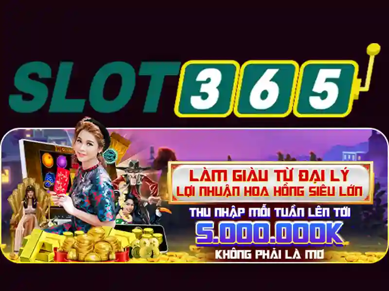 Tại sao chọn Slot365 cho trải nghiệm của bạn