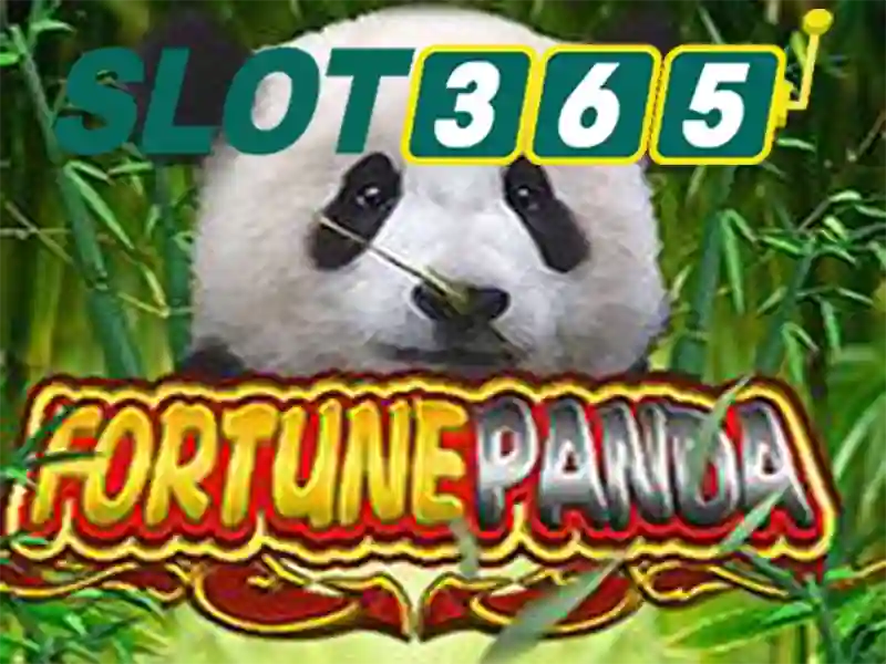 Slot365 là gì và các tính năng nổi bật